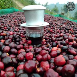500Gr cà phê nguyên chất pha phin vị truyền thống