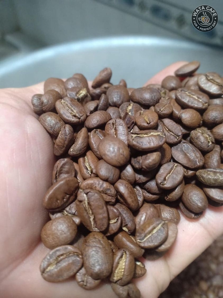 Rang cà phê Arabica dùng cho pha máy