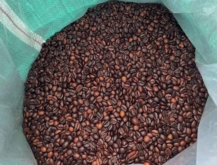 cà phê hạt giá rẻ tỷ lệ chín thấp